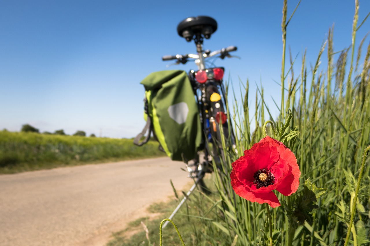 cykelbild